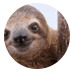 7.png
